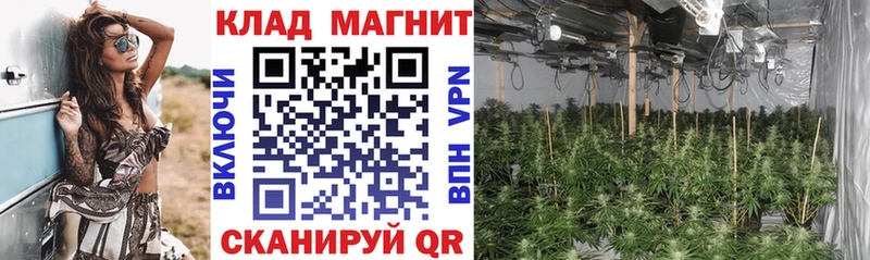 Где купить наркоту Малаховка АМФЕТАМИН  ГАШИШ  APVP 